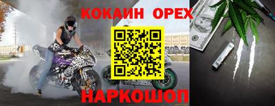 гашик Гусь-Хрустальный