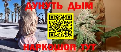 гашик Гусь-Хрустальный