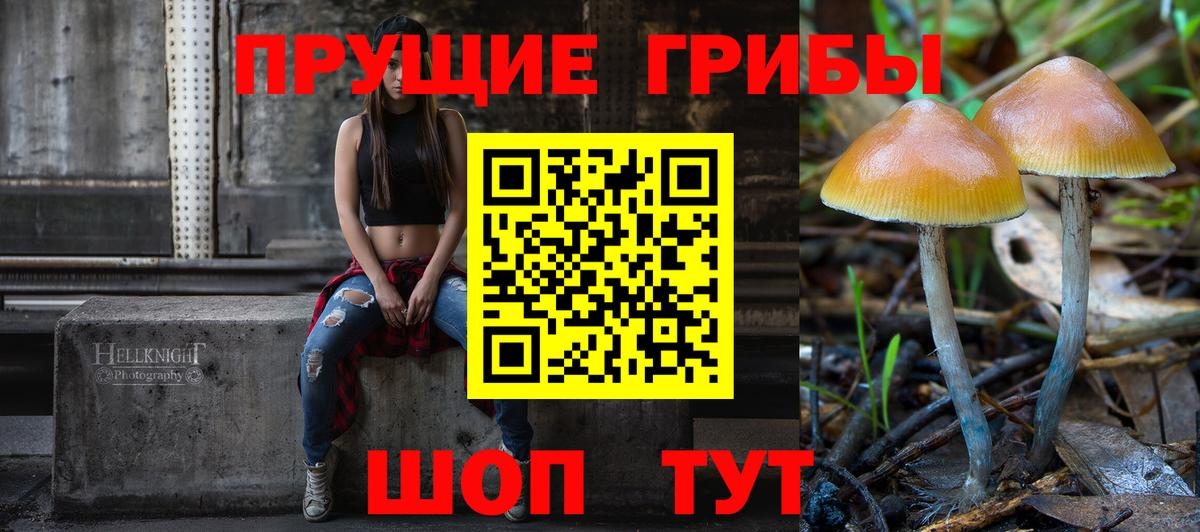 Галлюциногенные грибы Psilocybine cubensis  Вход с VPN  Псилоцибиновые грибы мухоморы  Джанкой 